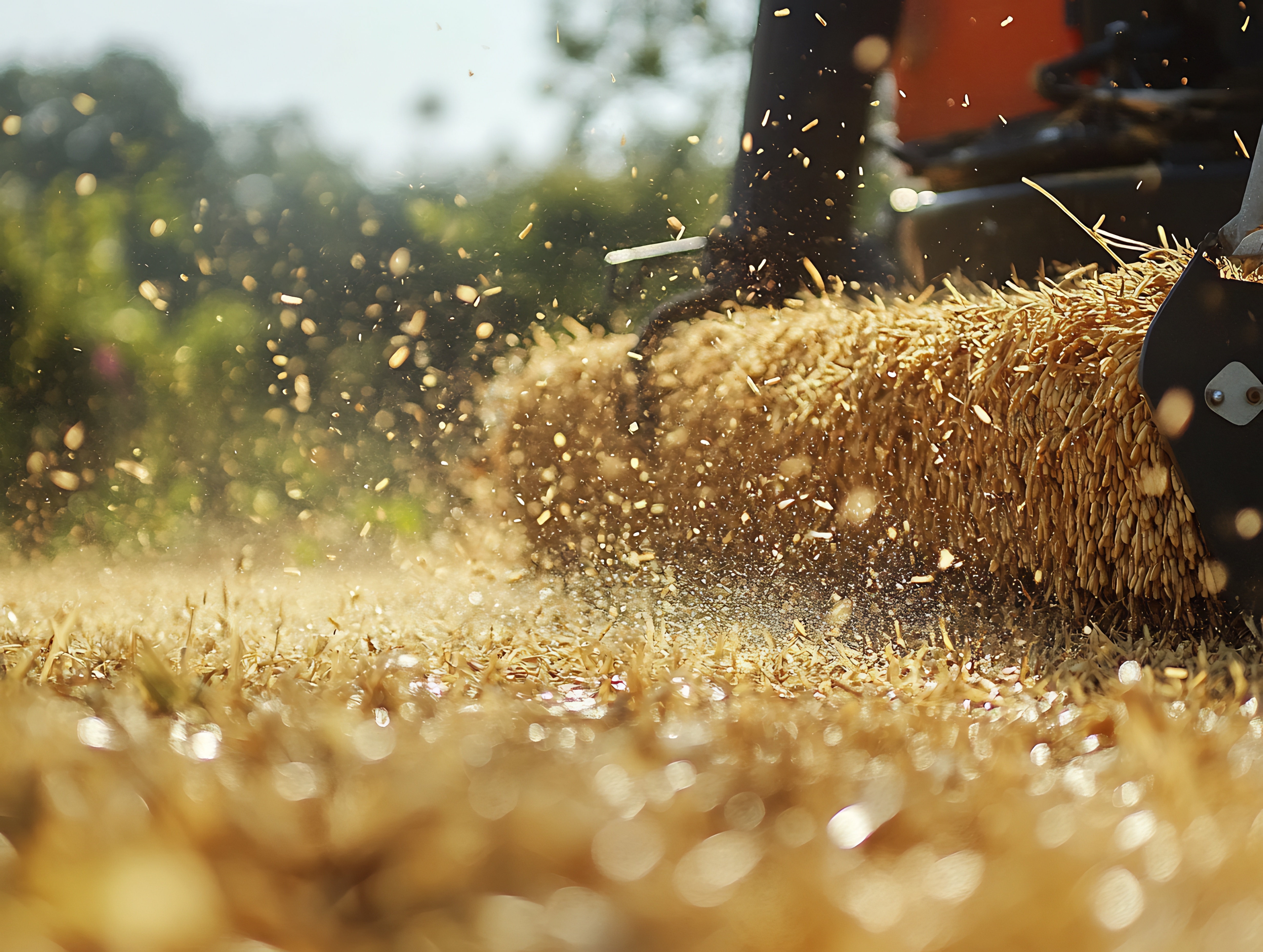 Making Hay