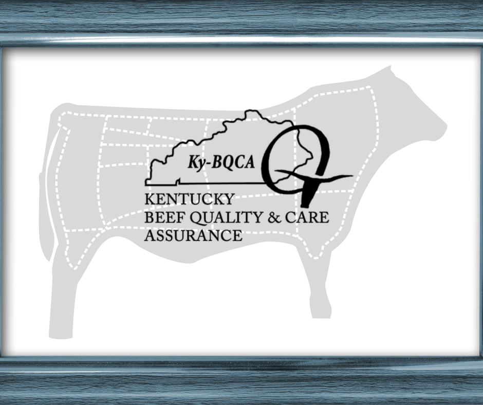 Kentucky BQCA