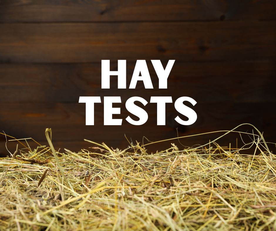 Hay Tests