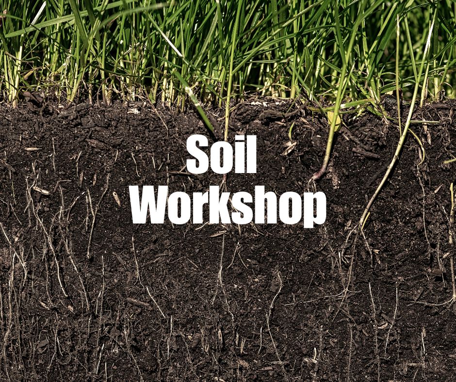 Soil Workshop