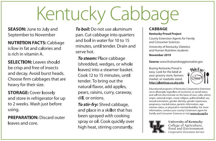 Cabbage 2