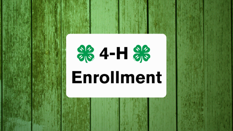 4-H Enrollment