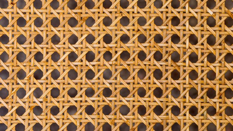 CANING BACKGROUND