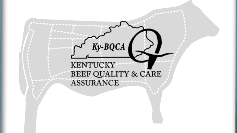 Kentucky BQCA