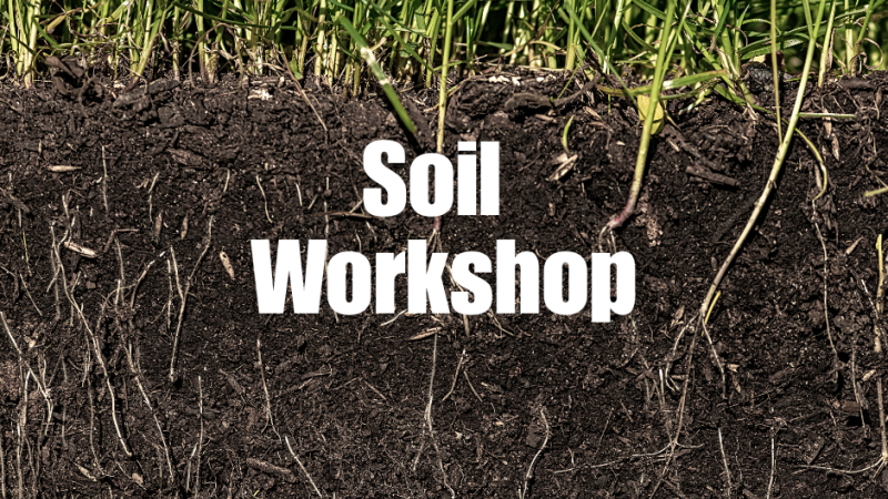 Soil Workshop